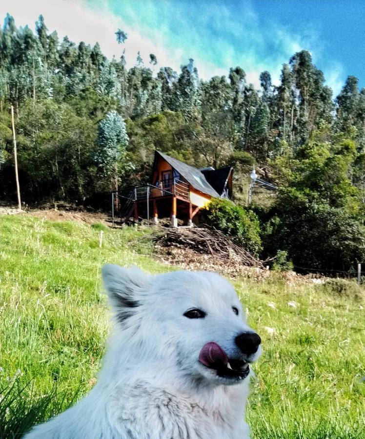 Glamping Refugio Gaia Paipa